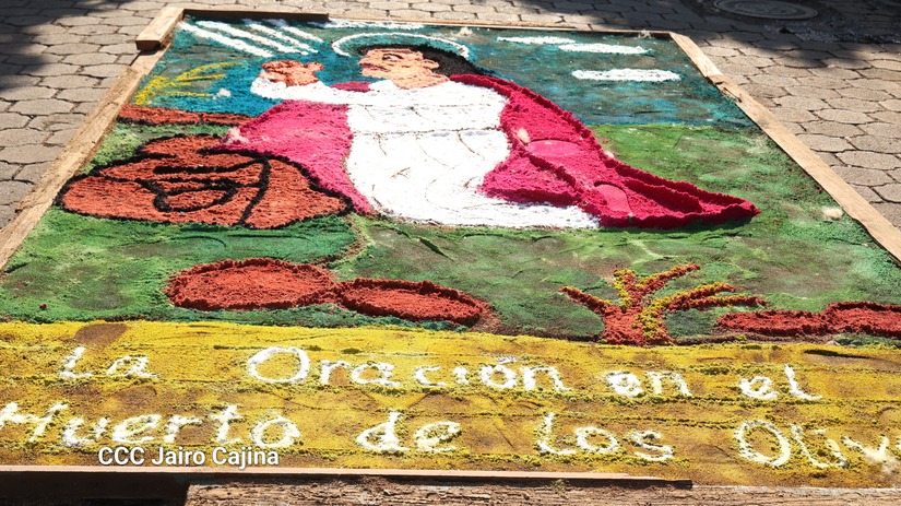 ALFOMBRAS-(24)