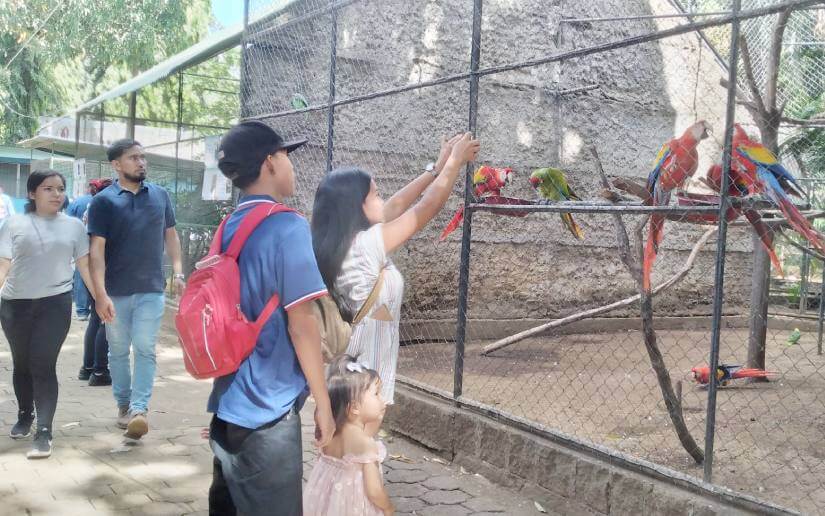 zoo-parquesaurio-1