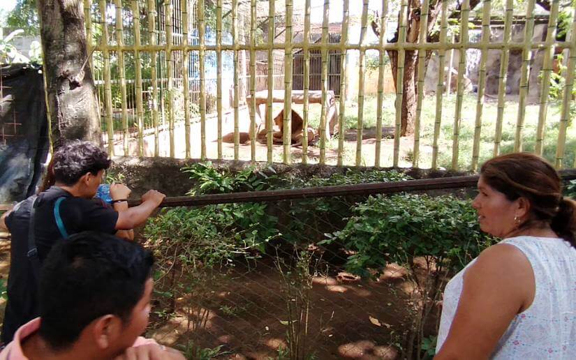 zoo-parquesaurio-3
