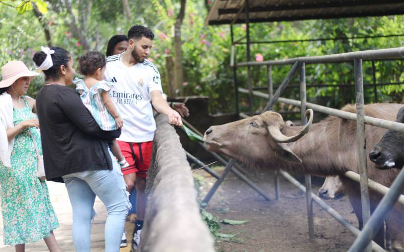 zoo-parquesaurio-7