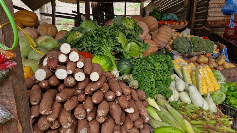 MERCADO-(10)