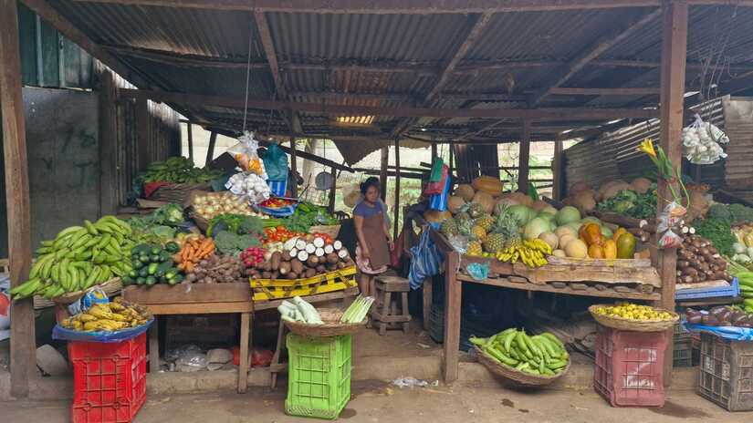 MERCADO-(11)