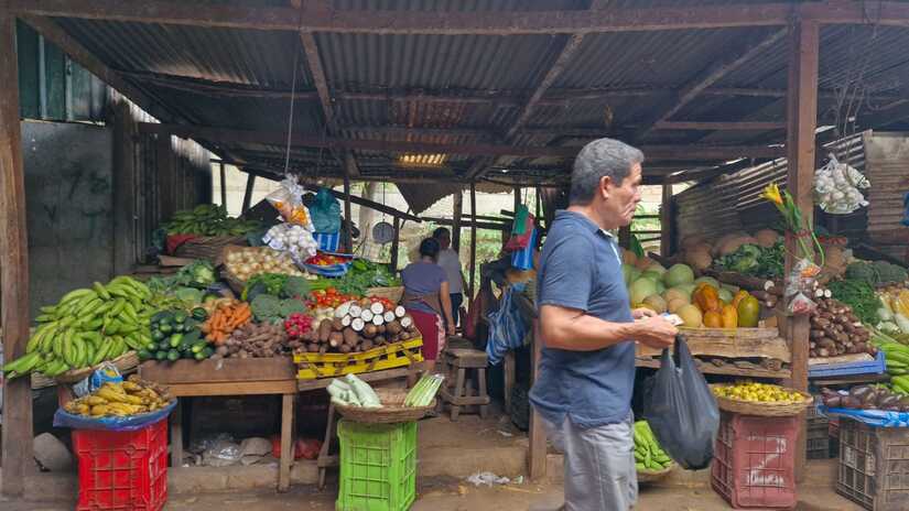 MERCADO-(12)