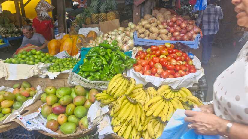 MERCADO-(21)