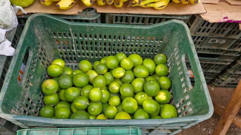 MERCADO-(5)