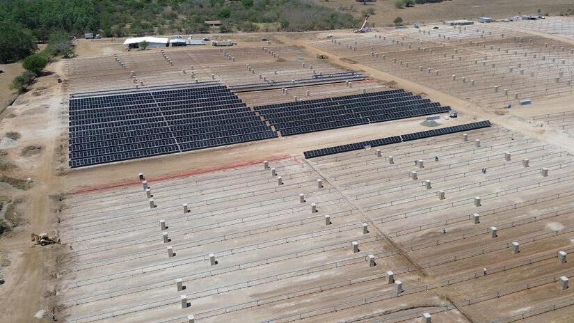 PLANTA3