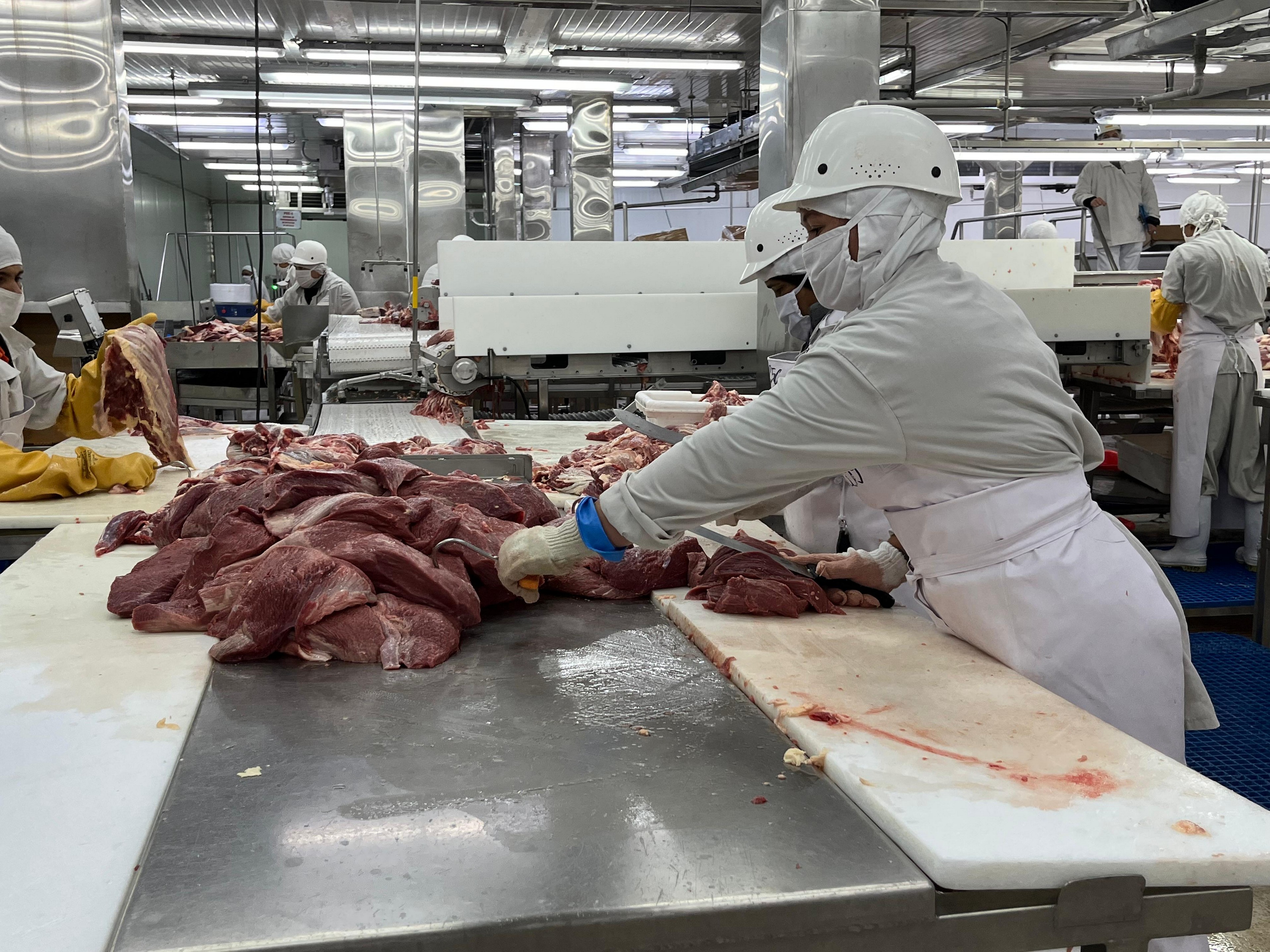 carne2