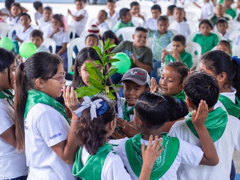VERDE8