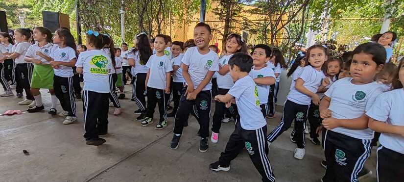 VERDE5