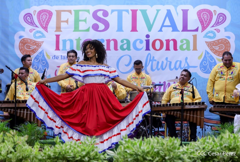 FESTIVAL-24