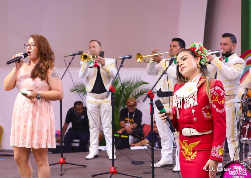 FESTIVAL-5