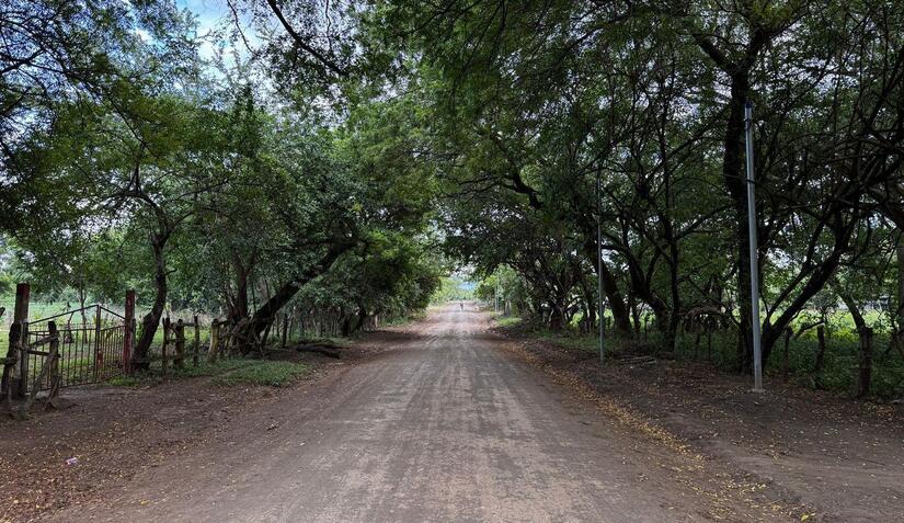 CAMINOS33