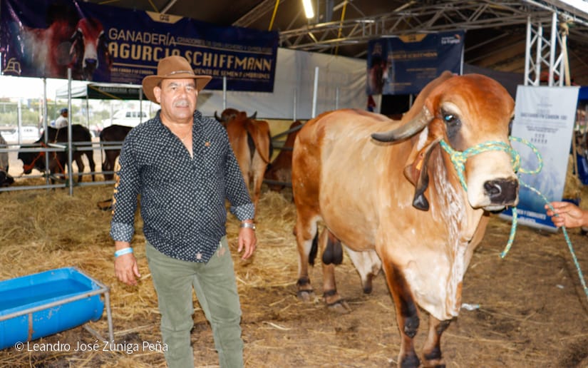 FERIA-(22)