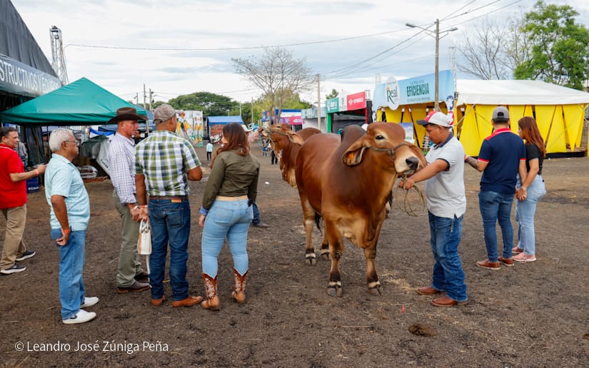FERIA-(27)