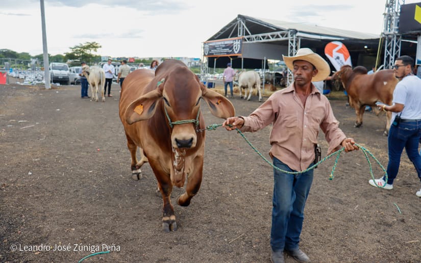 FERIA-(30)