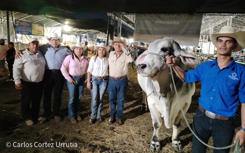 FERIA4