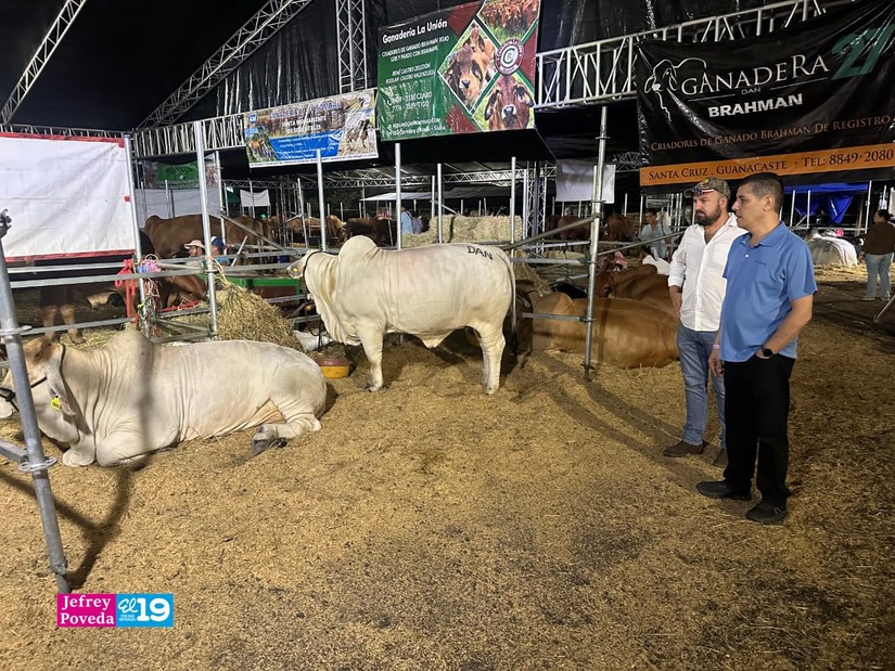 FERIA-GANADERA--(9)