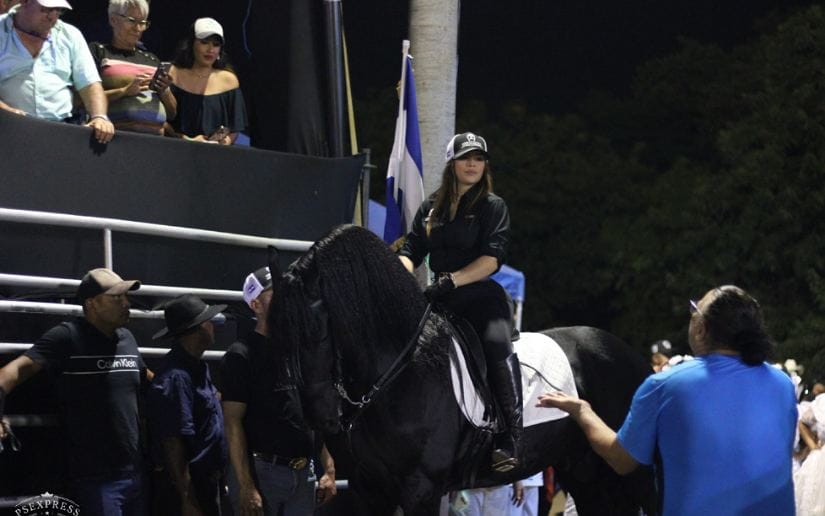 FERIA-(5)