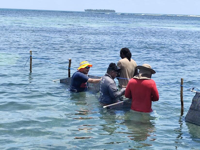 INPESCA-5