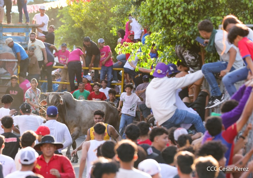 VACAS-(10)
