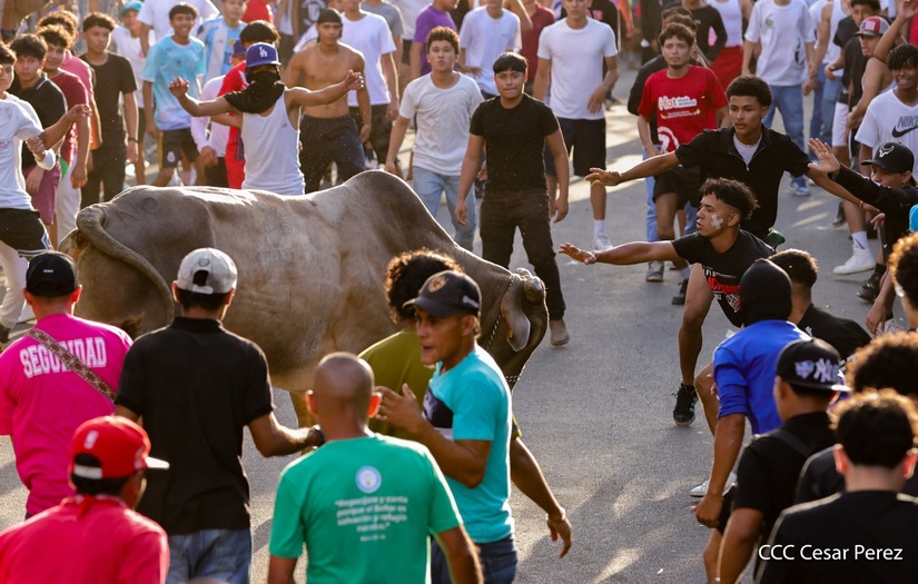 VACAS-(18)