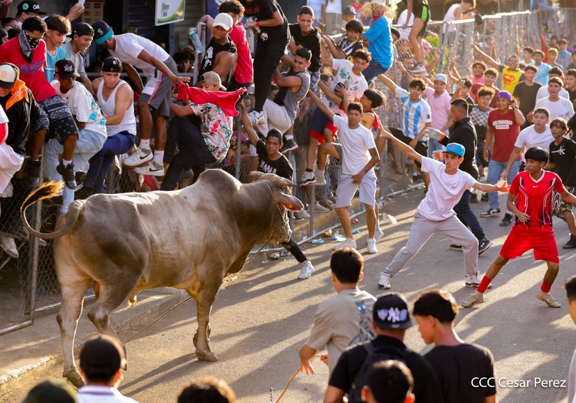 VACAS-(22)