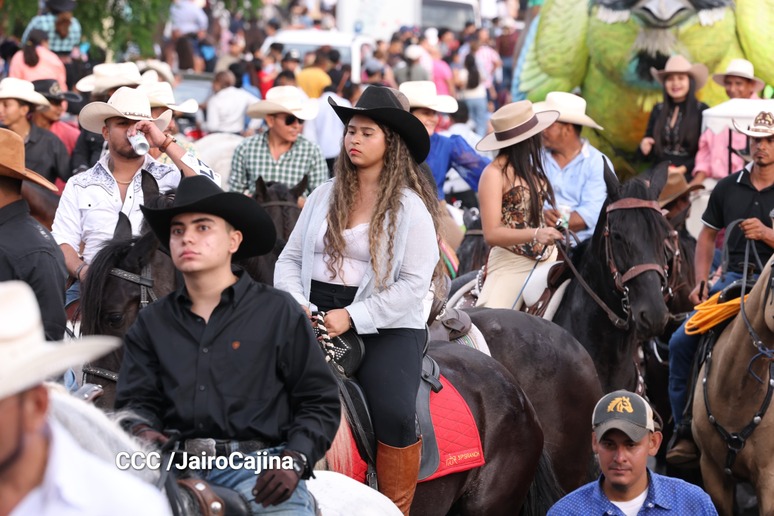 HIPICAS29
