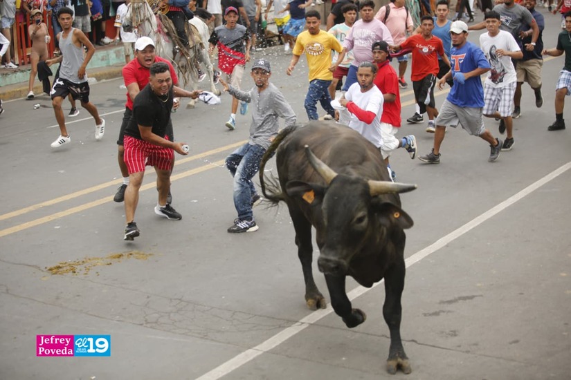 TORO-(37)