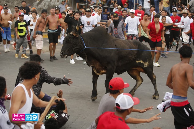 TORO-(54)