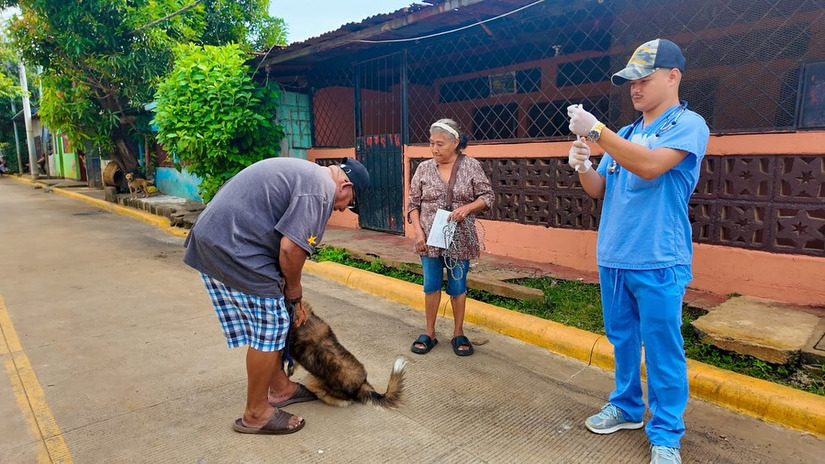 CANINA2