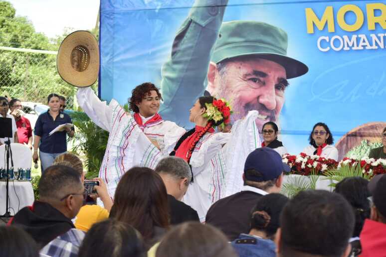 MORINGA12