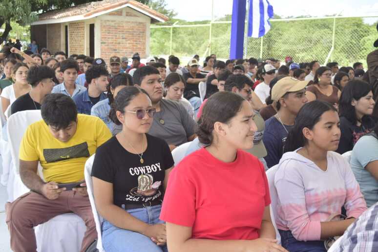 MORINGA15