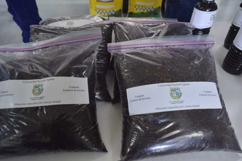 MORINGA24
