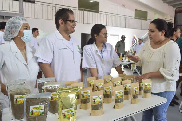 MORINGA27