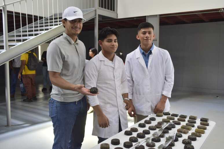 MORINGA28
