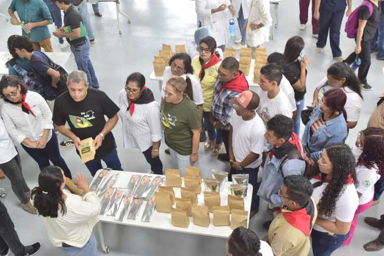 MORINGA5