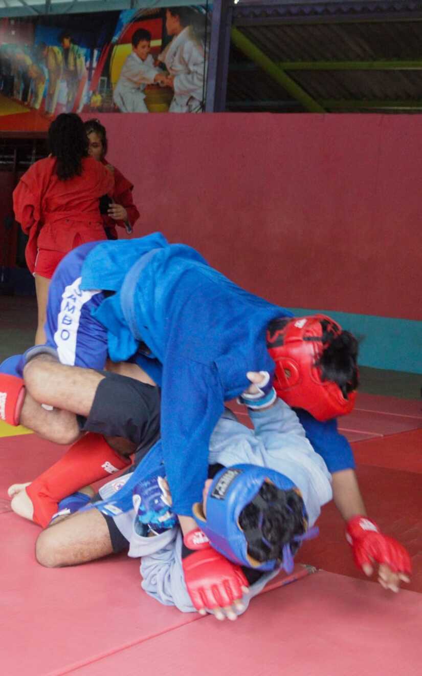 SAMBO-(7)