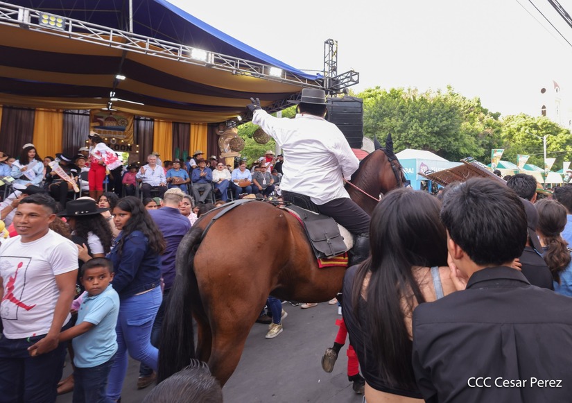 HIPICA-GRANADA-(26)