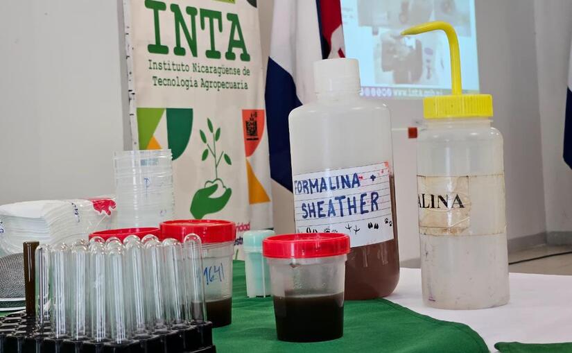 INTA6