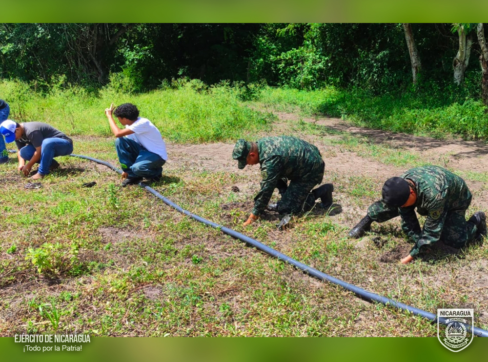 REFORESTACION3