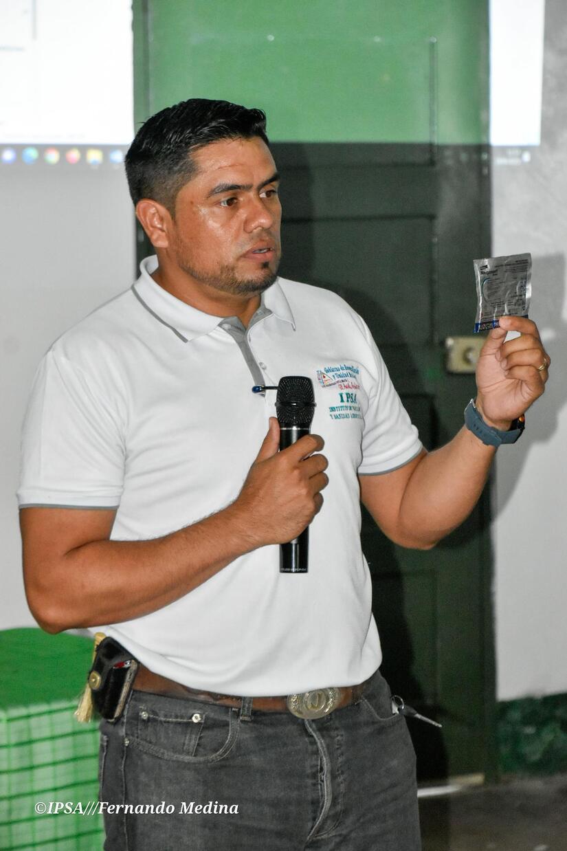 IPSA3
