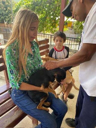 CANINOS10