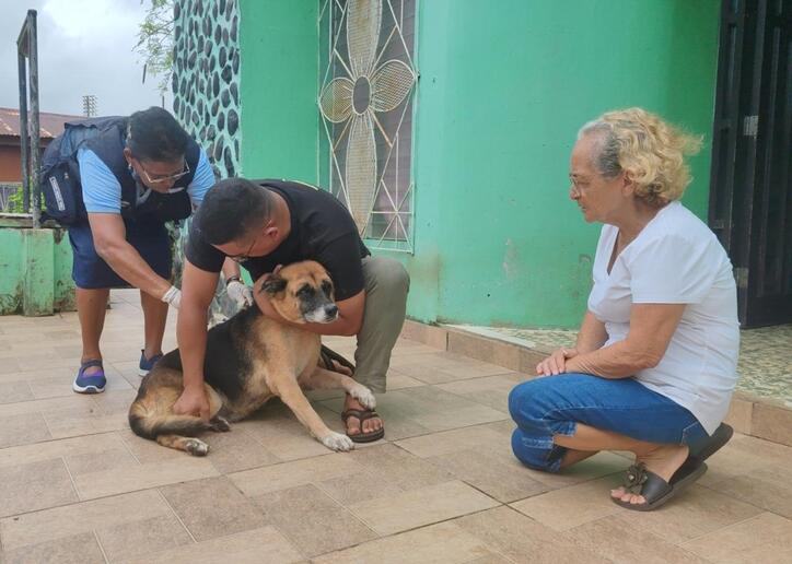 CANINOS12