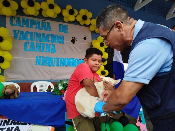 CANINOS2