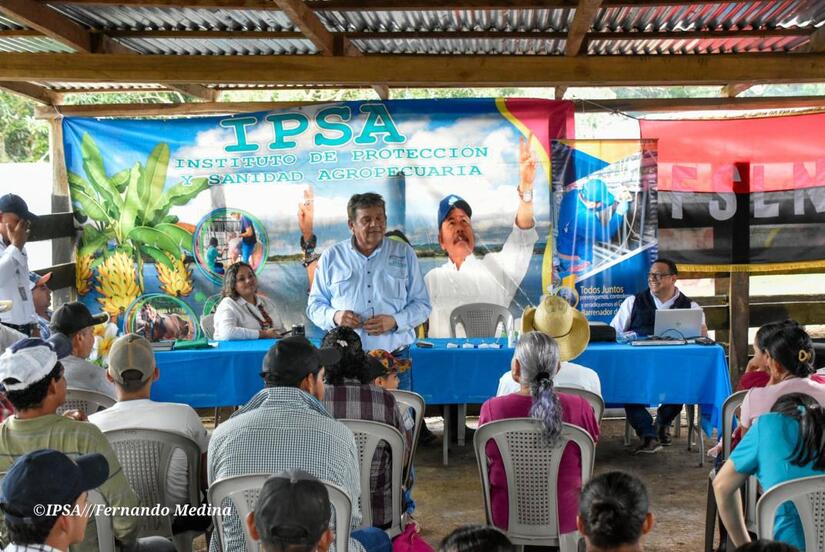 IPSA2