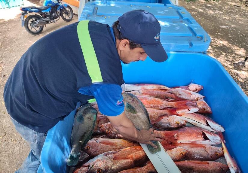 INPESCA3