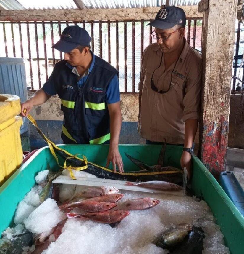 INPESCA4
