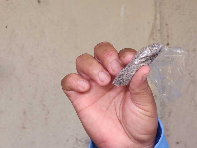 Fumigacion-5
