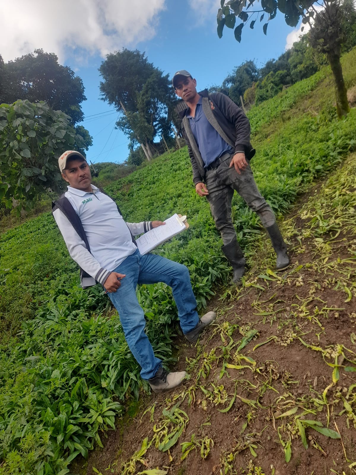 CULANTRO5