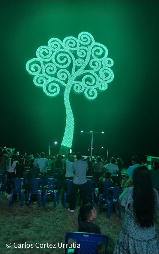 ARBOL-(11)